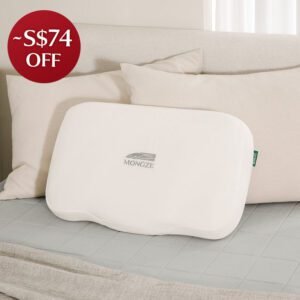 MONGZE Ergo Airnetâ„¢ Pillow